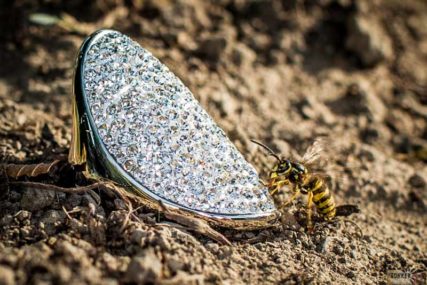 Produktfotos Edelstahlschmuck Ring